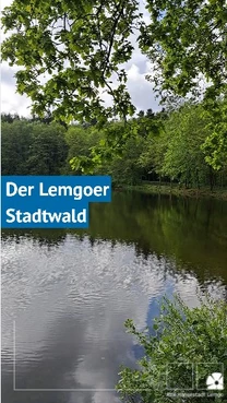 Titelbild Video