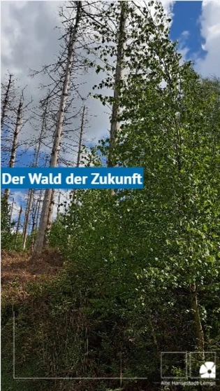 Titelbild Video