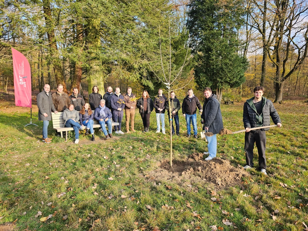 Eine Gruppe von Menschen steht vor dem Wald, sitzt auf einer Bank oder schaufelt ein Loch für einen jungen Baum.