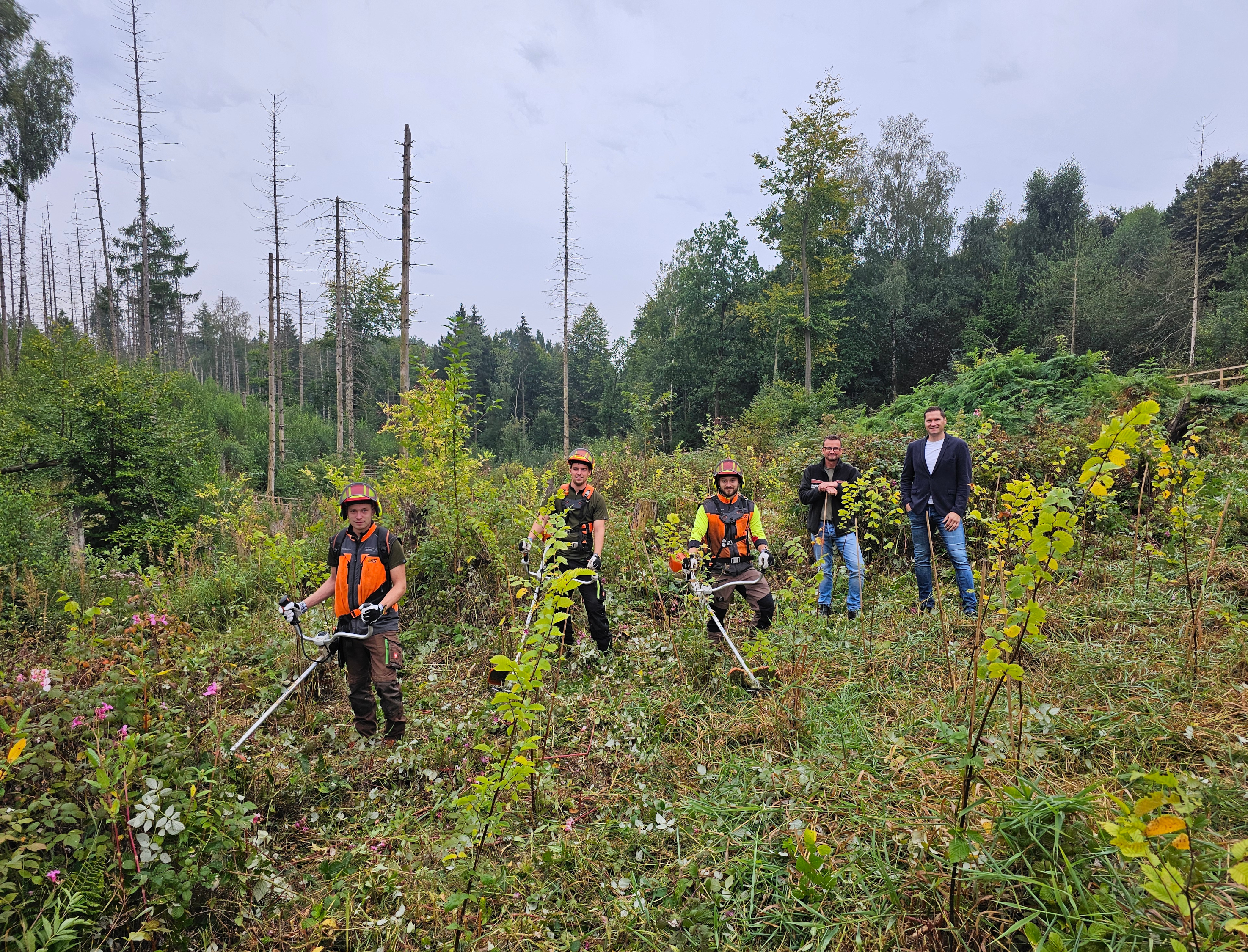 Mehrere Männer, teilweise in Arbeitsschutzkleidung, stehen auf einer Waldfläche.