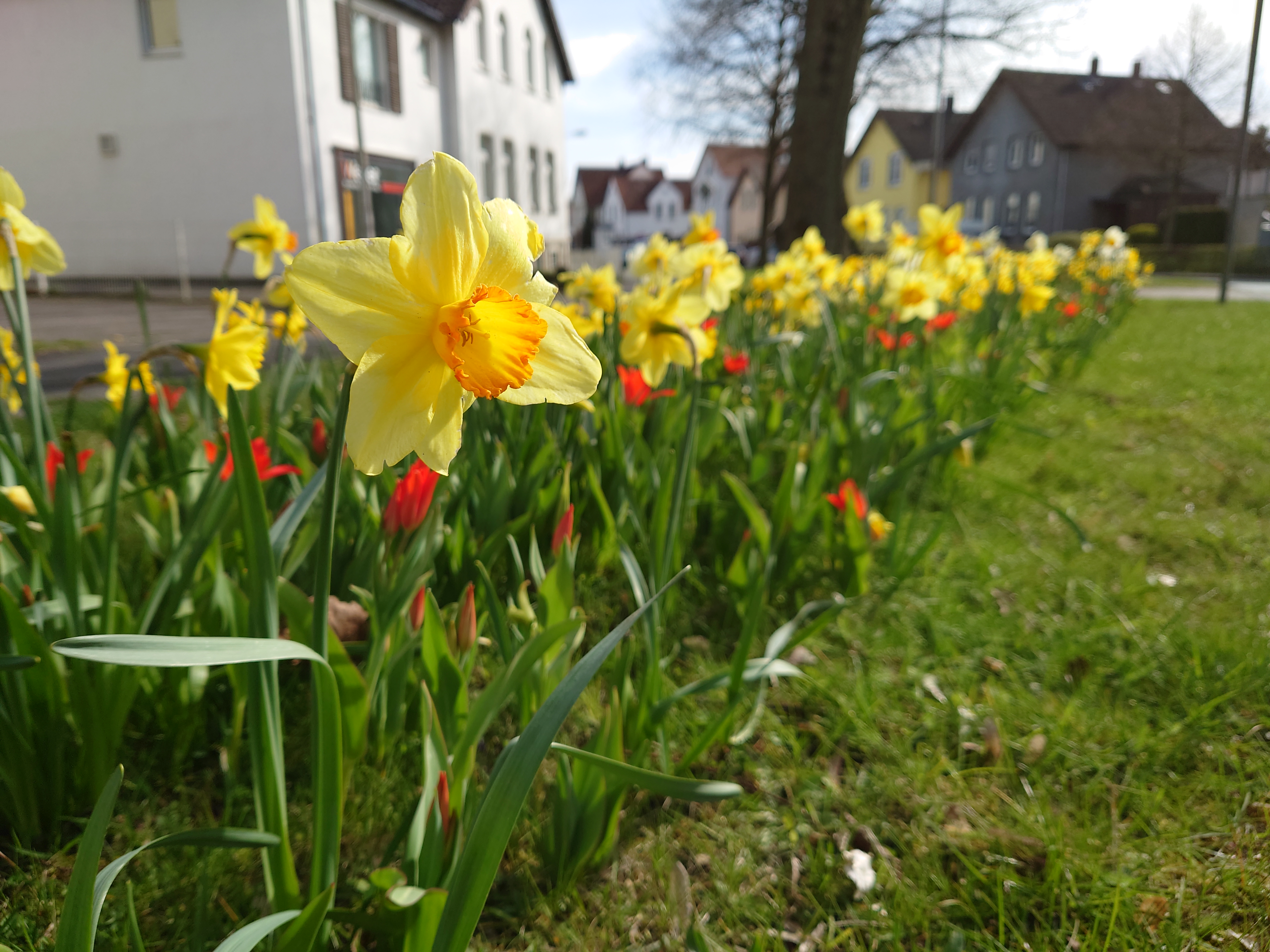 Blumen
